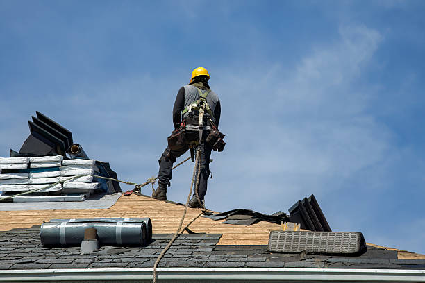 Professional Roofing technician working in Burnett, WI